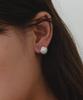 Byweekend Mini Clam Earring