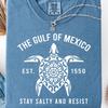Golf von Mexiko Bleib Salzig Widerstandsshirt: Politisches Shirt