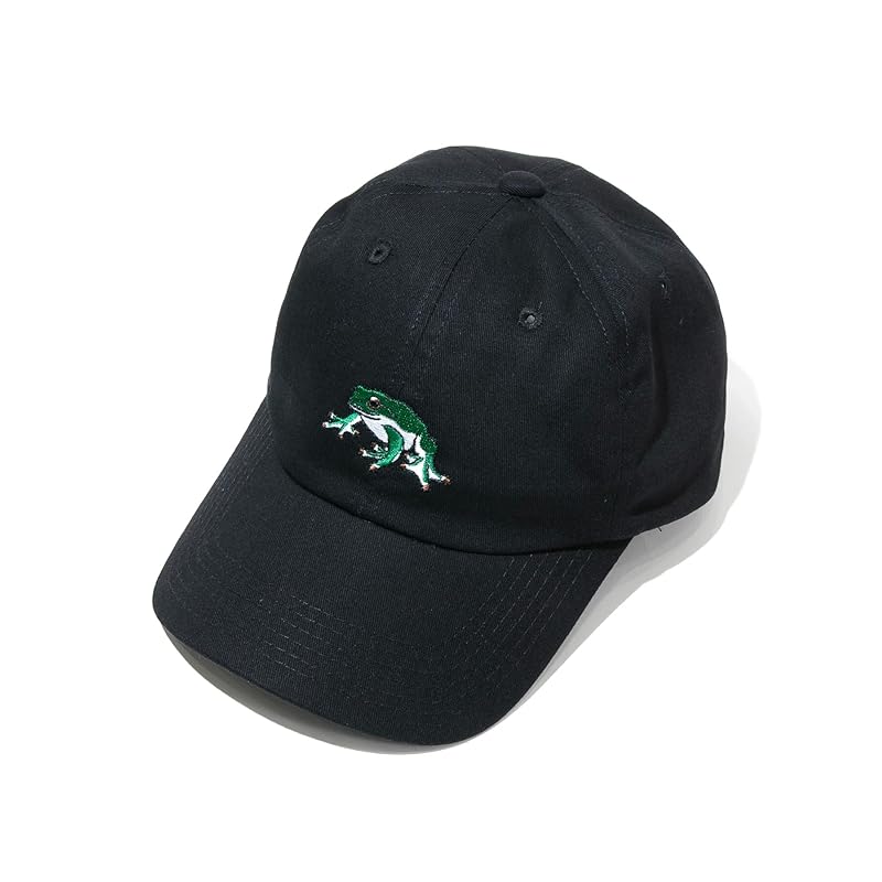 

[go slow caravan] 342902 twill embroidery BB cap black Free