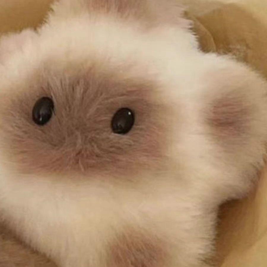 Latest Soft Squeeze Capybara Plush Keychain Plush Stuffed Cartoon Chirping Kapibara Pendant Keyring Squeak Capibara Doll Children