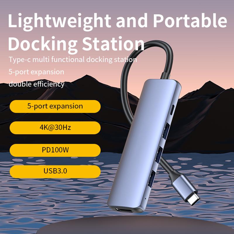 FEIXUAN Good Quality 5 in 1 Usb C HUB Multi Ethernet Network Pd 100w Type C Docking Station HUB for Laptop