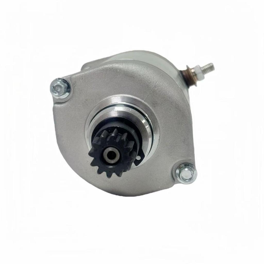 Motorcycle Starter Motor for TGB ATV 425/500 924470E