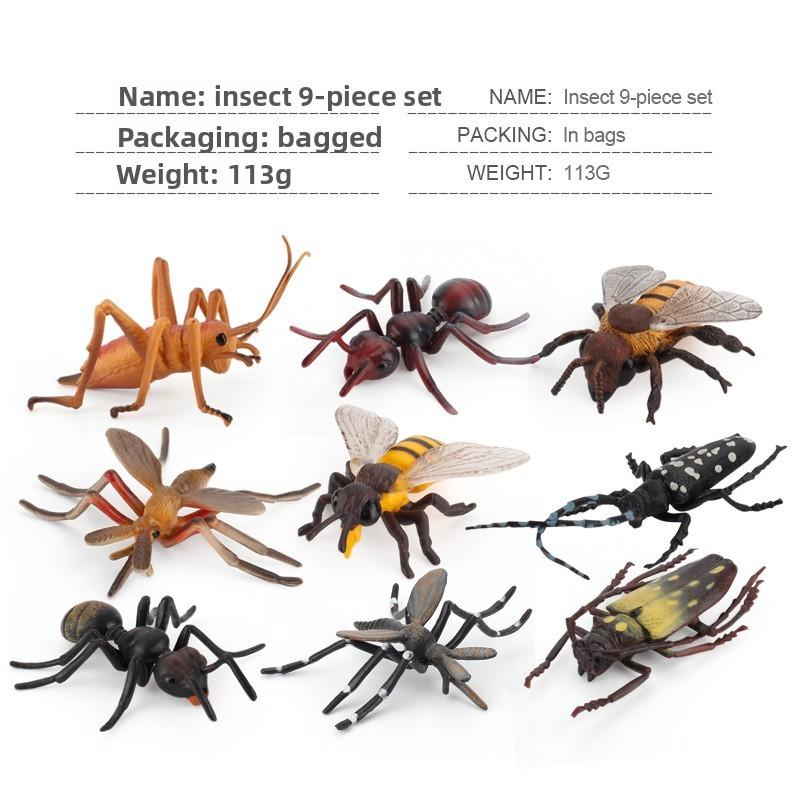 Insect Educational Toy Set With Wasps Ants Crickets Models For Kids Science Learning