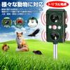Besince Animal Repellent Set of Detection Bird and Pest Solar USB PIR IPX4 Pest Prevents Animal Cat Bird and Animal 5 Infrared Two Ultrasonic Outdoor