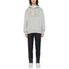 Polo Ralph Lauren SS24 Logo Print Hooded Long Sleeve Sweatshirt Men sweatshirt Gray 710926600-006