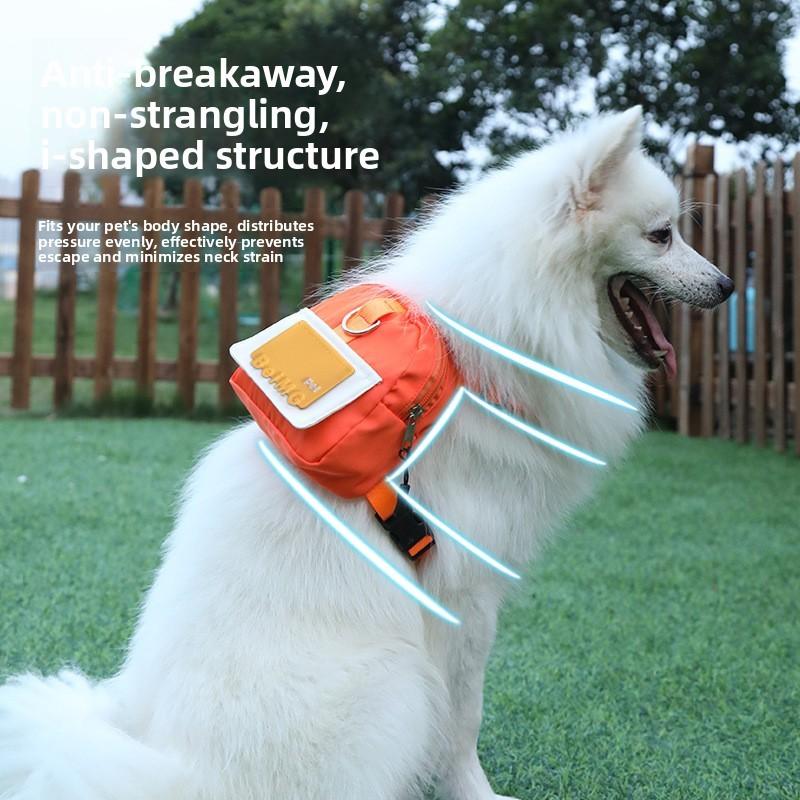 Zaino Cane Cartone Animato Con Guinzaglio Per Viaggi All'aperto Animali Domestici E Accessori Per Animali Domestici