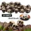 Decorative Skeleton Model Collectable Halloween Miniature Skulls Heads Decorative Festival Theme Party Haunted House Decor