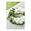 Daichi Farm Preserved Flower Tavaria Fern Green Approx. 30-35cmL 5 Pieces DO003720-700