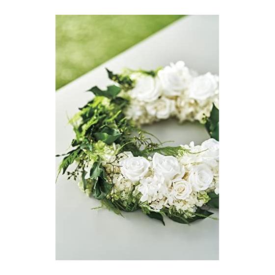 Daichi Farm Preserved Flower Tavaria Fern Green Approx. 30-35cmL 5 Pieces DO003720-700