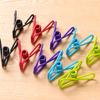 10pcs PP Excellent Quality Stainless Steel Clothes Peg Towel Sock Clip Pant Clothes Underwear Clips Small Metal Clips for Hanger