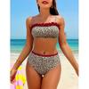 Sexy Leopard Print High Waisted Bikini 2-piece Women's Beach Style Split Swimsuit New Summer Beach Suit