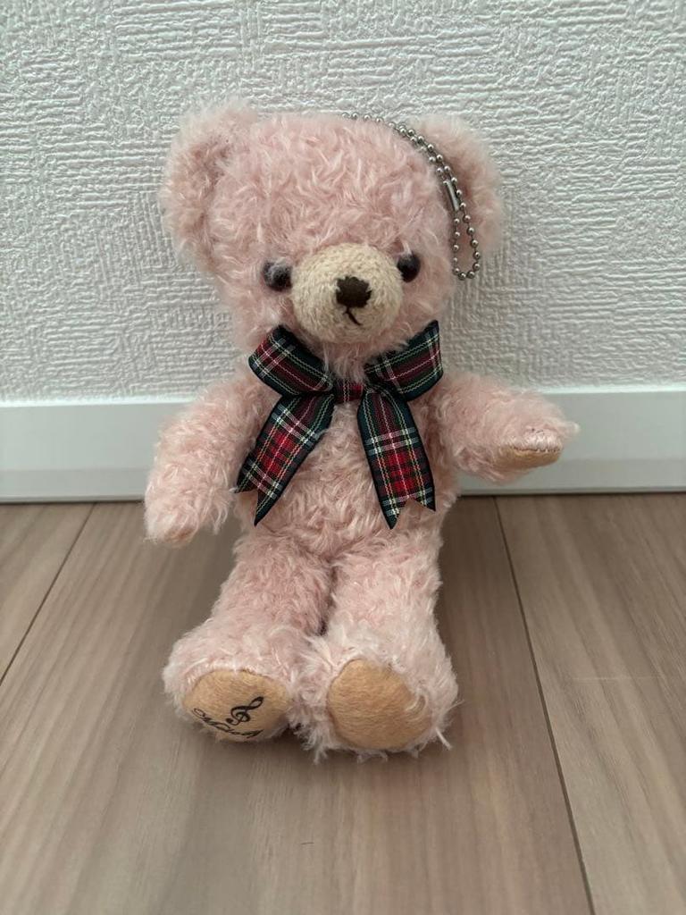 [USED] Teddy Bear Museum Teddy Bear