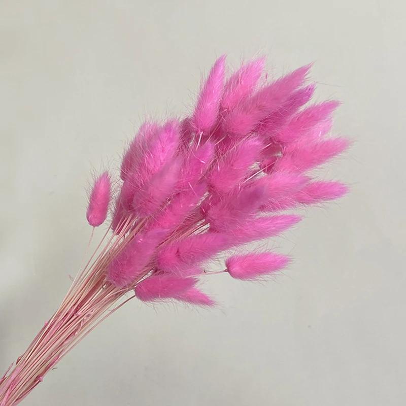 60 Stück Natur Hasenschwanzgras Trockenblumenstrauß Hochzeitsfeier Deko Flauschiges Pampasgras Weihnachten DIY Blumengesteck