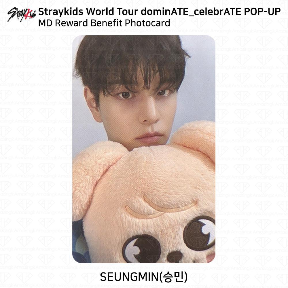 Stray Kids World Tour DominATE CelebrATE POP-UP MD Reward Benefit Photocard KPOP