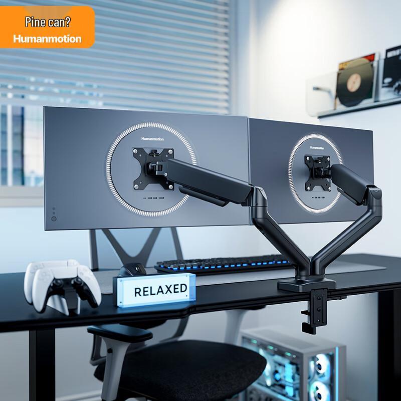 SONG NENG Dual Monitor Desk Mount