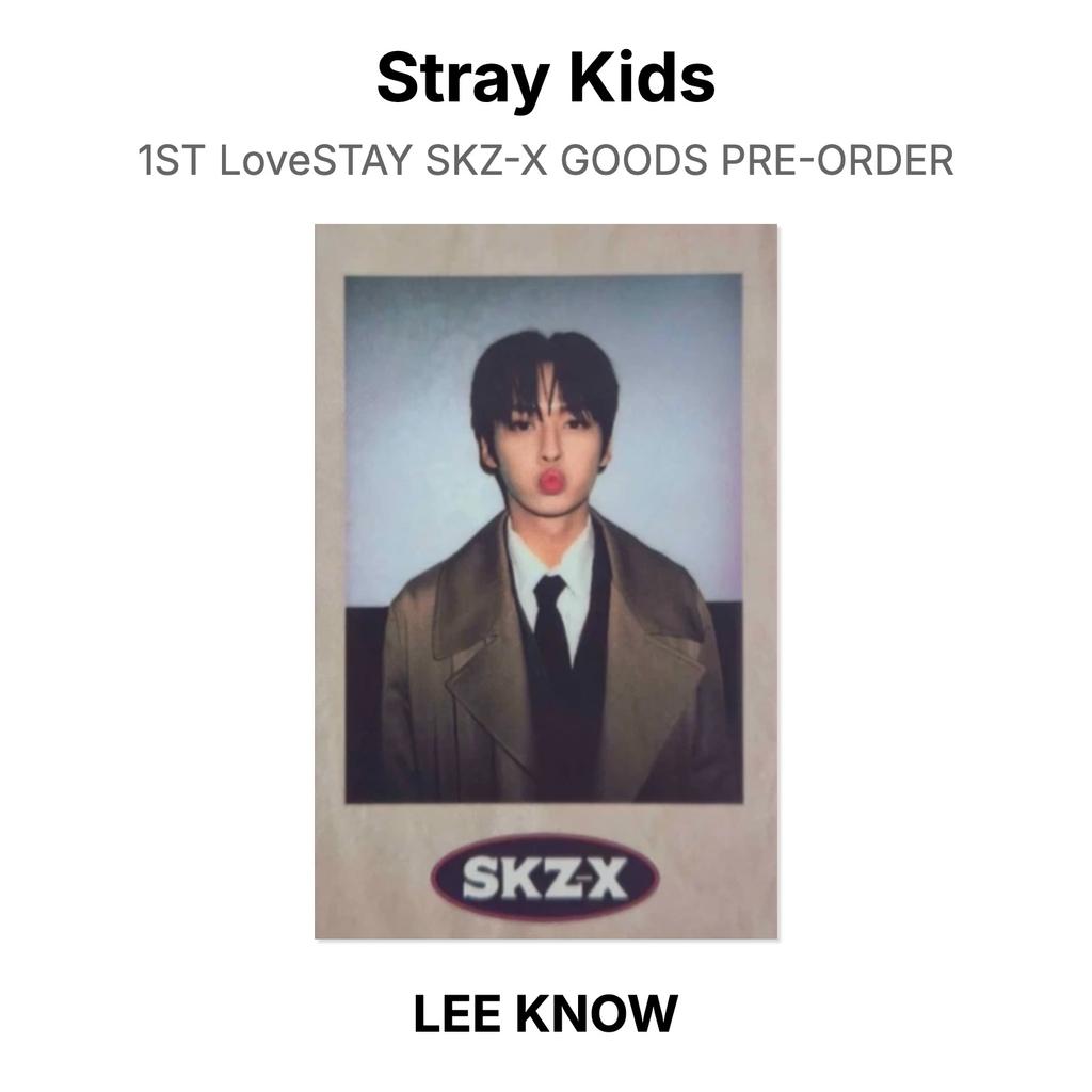 Stray Kids 1ST LoveSTAY SKZ-X GOODS PRE-ORDER Official Photocard