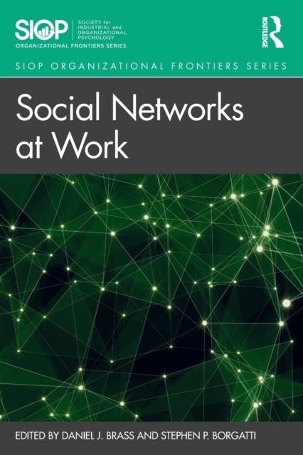 Buch Social Networks At Work