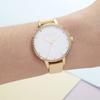 OLIVIA BURTON Women's Rainbow Watch with Sunshine & Gold Bezel, 34mm (ob16rb20) [Authorized Retailer]