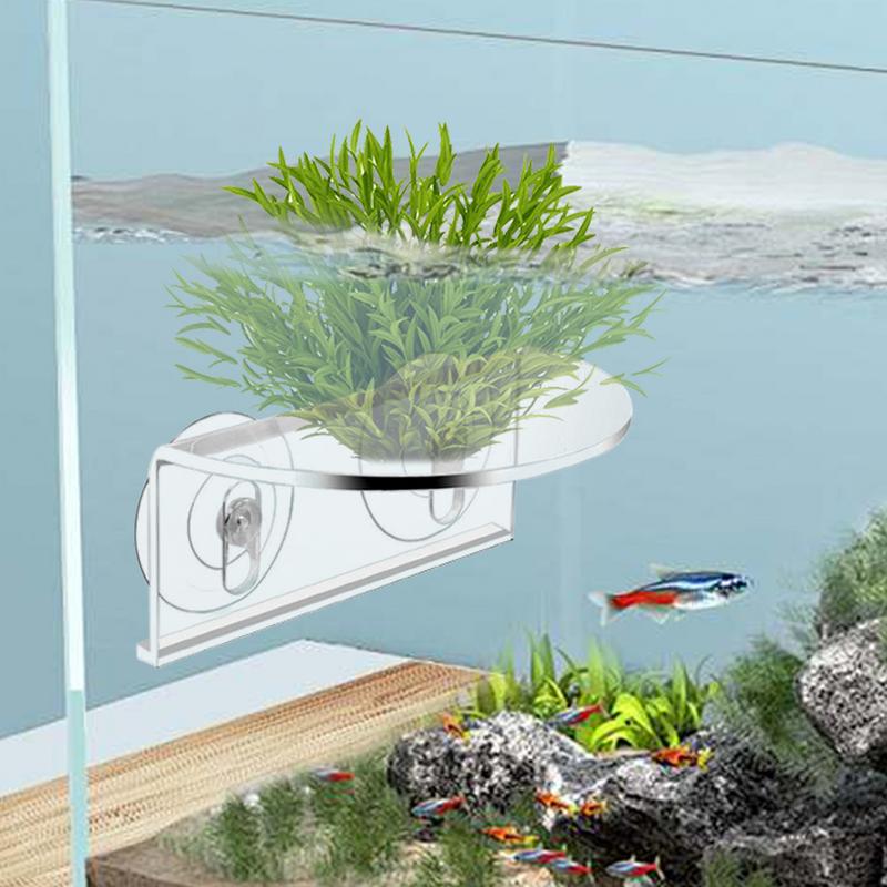 Aquarium Plant Holder Suction Acrylic Ledge Aquatic Grass Shelves Compact Transparent Aquarium Plants Rack For Fish Tank Window