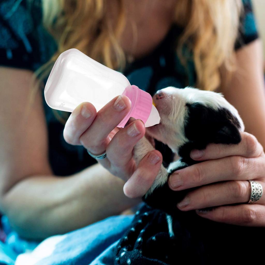 LEDMOMO Cat Feeding Kitten Milk for Puppies and Nutrition and with Feeding Dog Liquid Pet Milk Bottle Bottle, 120ml, Leak-Proof, Bottle, Kittens,