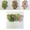 Artificial Begonia Wall Mounted Plant For Photography Props And Home Decor