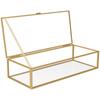 Glass Jewelry Box Vintage Jewelry Organizer Box with Hinged Lid and Mirrored Bottom Transparent Desktop Decorative Golden