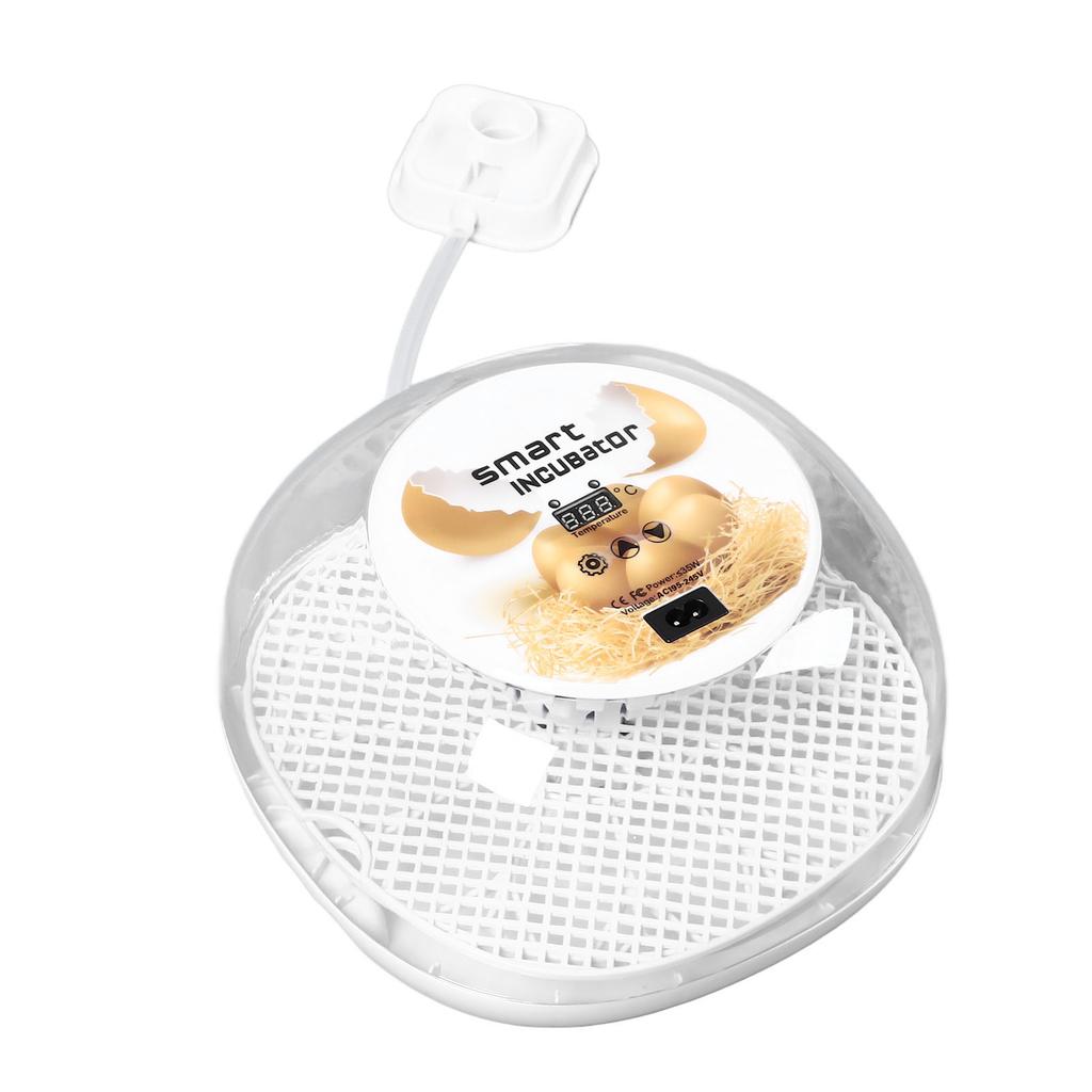 12 Egg Incubator Automatic Egg Turner Small Poultry Incubator 360 Degree View for Hatching Chicken