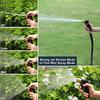 Neu Hochdruckreiniger Kunststoff Wasserpistole Gartenschlauch Düsenspray Für Hidrolavadora Autowaschanlage Sprinkler Reinigungswerkzeug Wasserstrahl