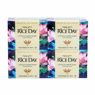 Löwen Reistag Reis Seife (4 Packung) (WB7B876)