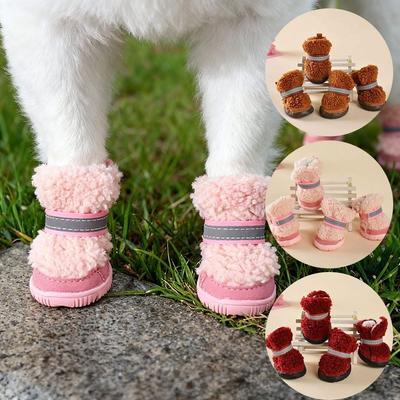Bekleidung & Schuhe – Hundeschuhe