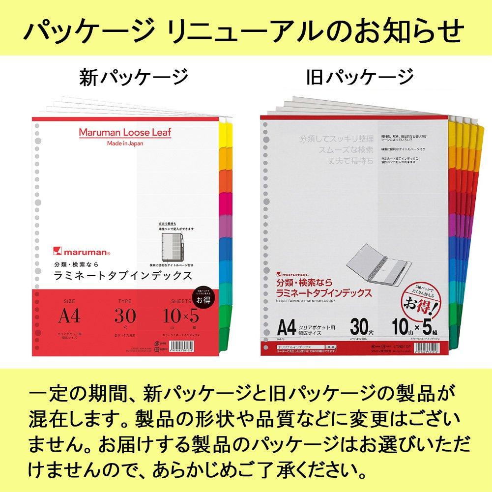 Maruman Index A4 Wide 30 Holes (2 Holes Compatible) Index Sheet 10 Mountains 5 Sets 1 Book LT3010F