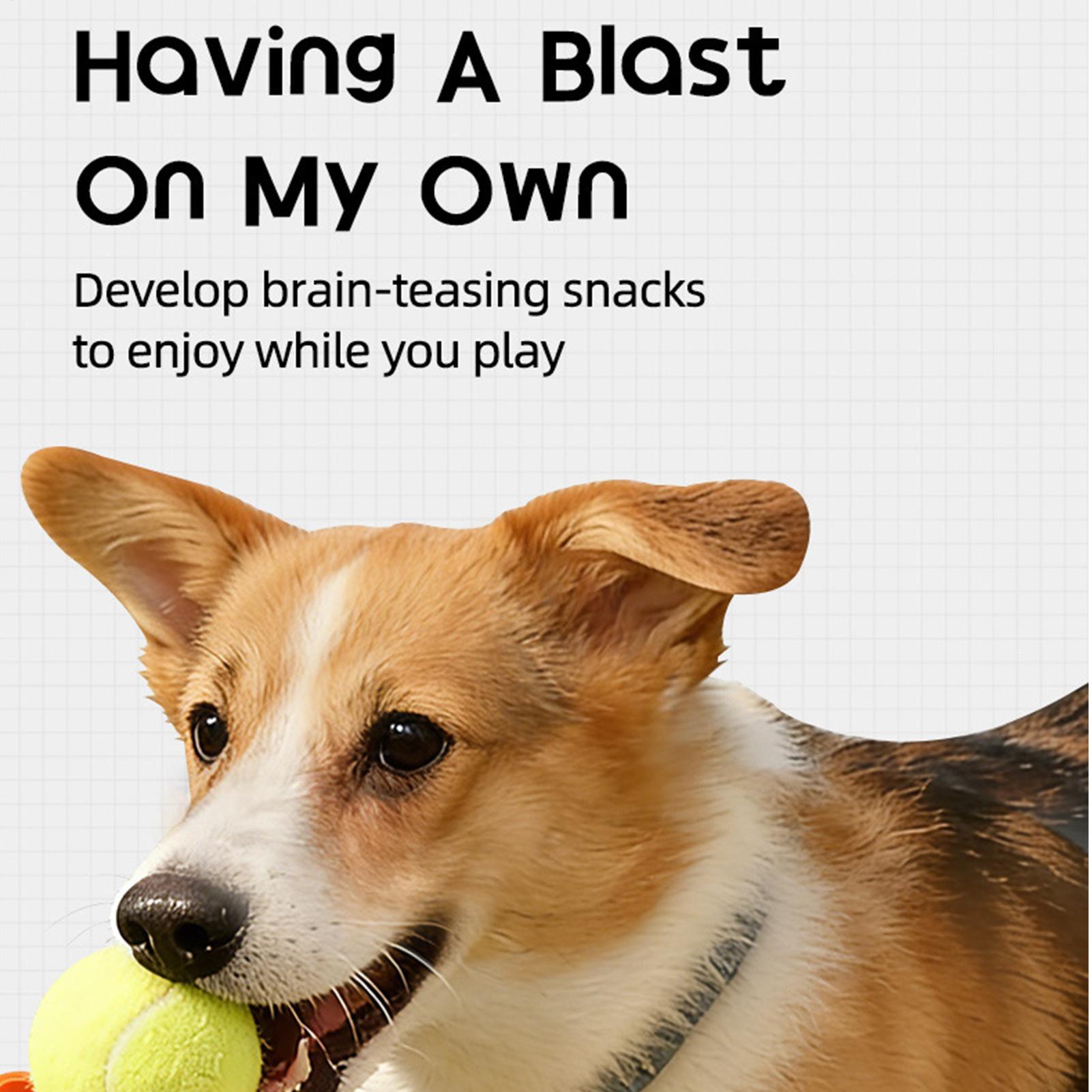 

Tennis Ball Thrower For Dogs Interactive Training Toy Dog Fetch Machine With Treat Dispenser For Apartment Living Room Home CN
