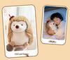 Adorable Little Tuan Tuan Hedgehog Plush Toy Pillow