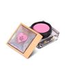 Nail Art ProArt Paste Molly Nails Light Pink HEMA/Di-HEMA Free 5g