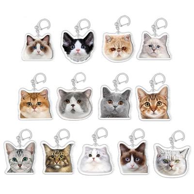 Creative Cat Shape Keychain Mini Animal Toy Keyrings Acrylic Animals Key Chain Pendant DIY Keychains Crafts Decorations