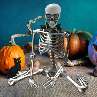 Halloween Skeleton Full Body Posable Joints Decor Durable Model Scary Skeletons