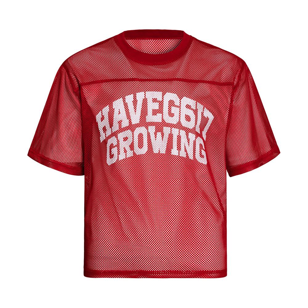 2025 Новые мужские футболки Y2k Streetwear Прозрачные сетчатые футболки с буквенным принтом и графическим принтом Летние повседневные футболки с коротким рукавом и круглым вырезом для мужчин L красный