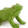 Early Education Kids Child Realistic Animal Growth Process Figures Toy Model