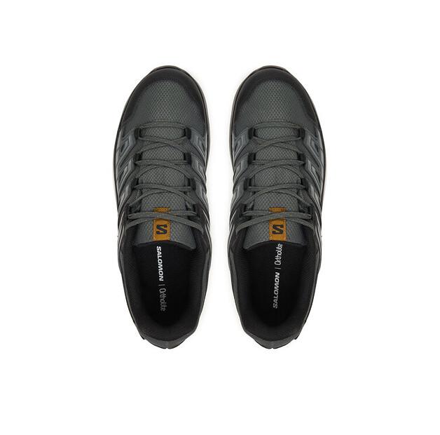 Треккинговые ботинки Salomon Extegra Gtx