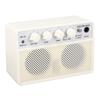 BT Bass Speaker Dual Channel Portable Rechargeable Electric Bass Amplifier 10W DC5V 1A