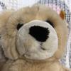 [USED] Used Steiff Gran Papa Teddy Bear Plush Toy
