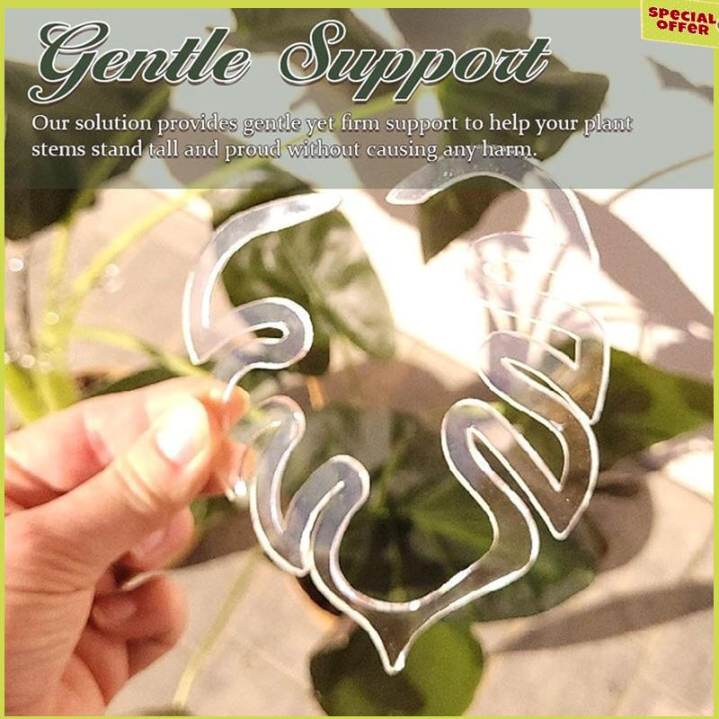 

A34R 2PCS Monstera Grapple Monstera Leaf Plant Support Turtle Shell Bamboo Clamp Set Unique&Aesthetic Monstera Plant Support NONE прозорий