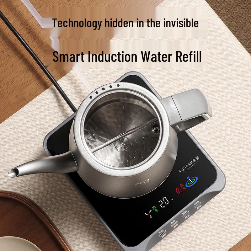 FUNORK Reine Titan Automatische Wasserpumpe Elektrischer Wasserkocher RY-D6 CN-Stecker (Adapter enthalten)