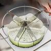 Easy To Use Design Cake Slicer Circular Cutter Precise Portion Division