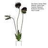 Metal Carnivorous Plant Garden Stake Handmade Rainproof Yard Sculpture for Flower Beds Patios Planters Rustproof Unique Quirky Garden Gift