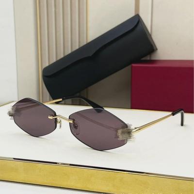 High-Quality Blue Frameless Diamond Sunglasses with UV Protection and Leopard Detail - Model CT0433S