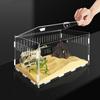 Insect Feeding Box Acrylic Clear Breeding Case for Spiders Reptiles Lizards Centipedes Small Snake 2 Size