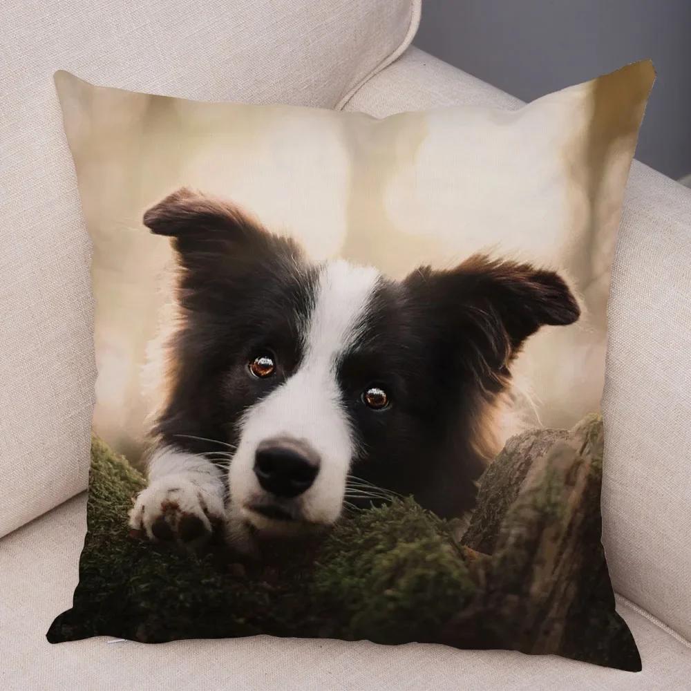 Cute Pet Animal  Cushion Cover Scotland Border Collie Pillowcase for Sofa Car Decor Dog Printed Soft Plush Pillow Case
