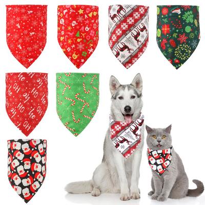 Giyim ve ayakkabı – Köpek Aksesuarları