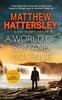 A World of Sun and Violence by Matthew Hattersley Paperback Book 9781036700843